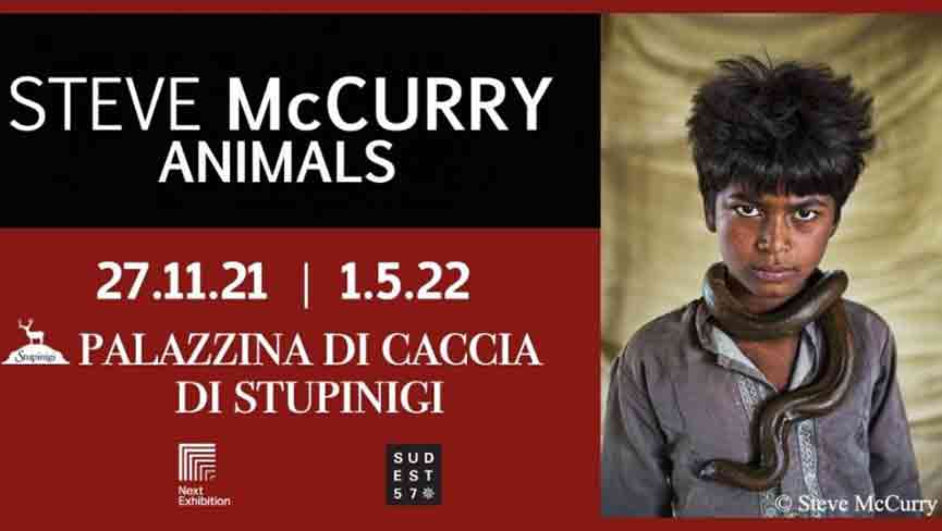 Mostra Steve Mc Curry Animals Torino